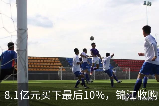 8.1亿元买下最后10%，锦江收购维也纳十年终收官